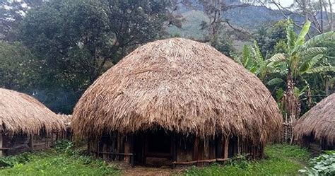 Macam Macam Rumah Adat Yang Ada Di Pulau Papua - Metode ...