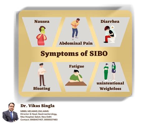 Sibo Symptoms Treatment And Complications Dr Vikas Singla