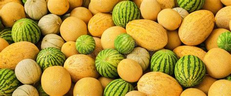 Big Pile Of Watermelons And Honeydew Melons Stock Image Image Of Pile