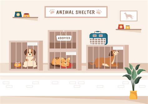 Best Animal Shelter Illustration Download In Png And Vector Format