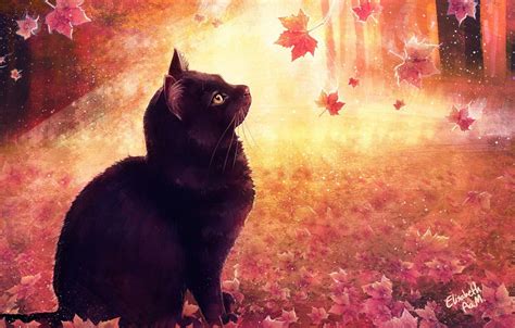 Autumn Cat Wallpapers Top Free Autumn Cat Backgrounds Wallpaperaccess