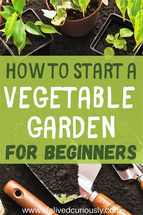How To Start Vegetable Gardening For Beginners Gardening For