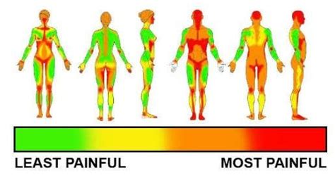 Lower back pain & stiffness 11 best lower back stretches to relieve lower back pain & stiffness lower back pain , relieve back pain , lower back , back pain , stiffness , stretches , chiropractor , sciatica , lower back muscles , leg pain , quadratus lumborum , erector spinae , glute medius. Tattoo pain chart. #tattoo #pain #pain chart #scale ...