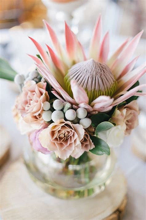 South Africa Destination Weddings More Flor Protea Protea Flower