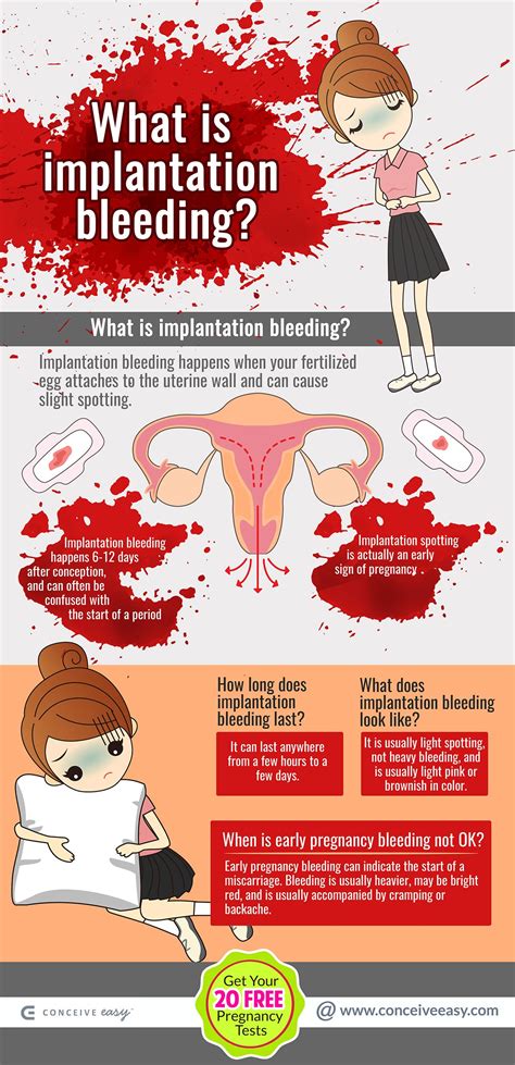 Implantation Bleeding In Early Pregnancy
