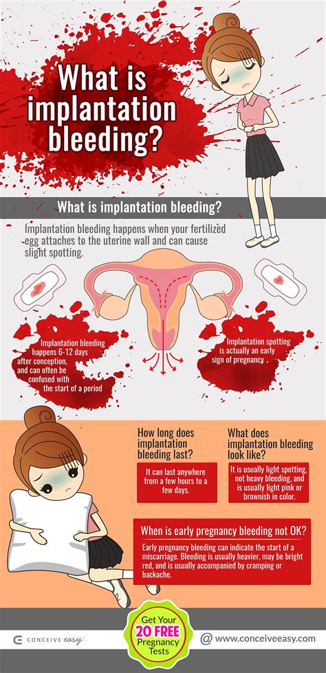 implantation bleeding or early pregnancy bleeding infographic by conceive easy medium