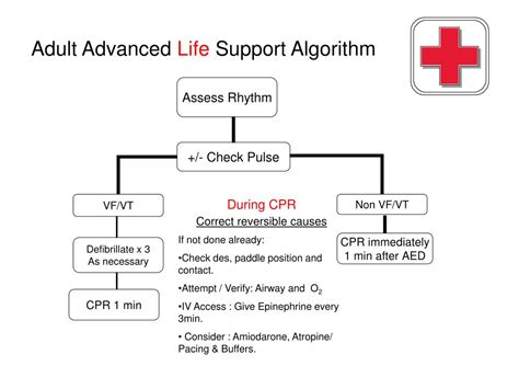 Ppt Basic And Advanced Life Support Powerpoint Presentation Free