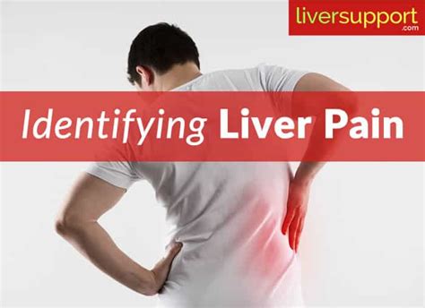 What Does Liver Pain Mean