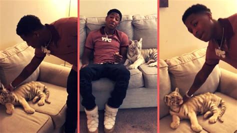 Police Take Away Rapper Nba Youngboys Tiger Due To Neglect