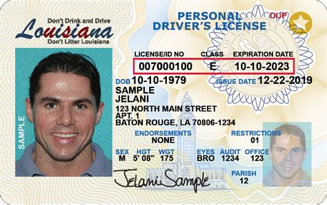 Your First Time Louisiana Drivers License Guide Driving Guide