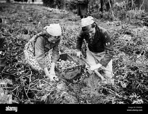 World War Ii 1939 1945 Bund Deutscher Madel F001327 Bdm League Of German Girls Rfeie