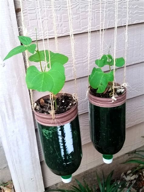 Hanging Planters From Plastic Bottles Kgarden Plant