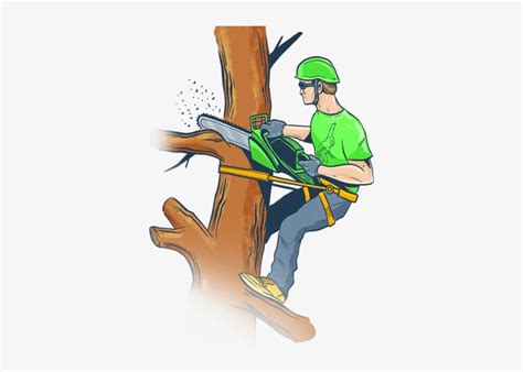 Free Tree Service Cliparts Download Free Tree Service Cliparts Png
