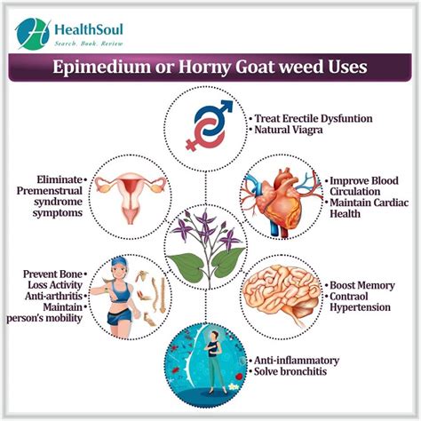 Epimedium Or Horny Goat Weed Healthsoul