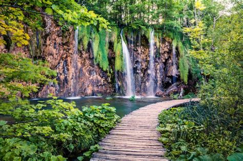 Captivating Morning View Of Plitvice National Park Colorful Spring