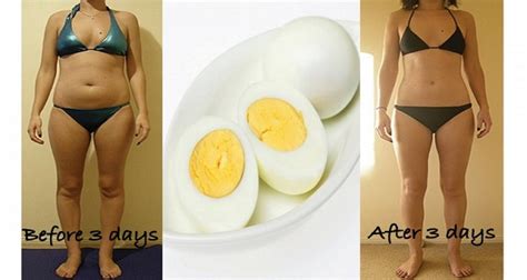 Satu butir telur, bisa dimasak sesuai keinginan. SUNGGUH LUARBIASA !!! Diet Dengan Telur !!! Hilangkan 3 Kg ...