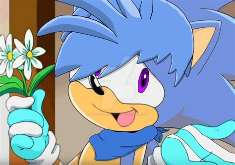 Sonic X Recolor Flash The Avalician Hedgehog By Willow T Hedgehog On