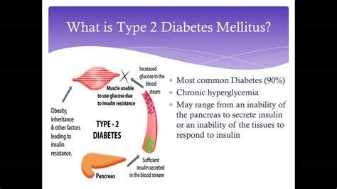 The exact cause of type 1 diabetes is unknown. Pathophysiology of Diabetes - YouTube