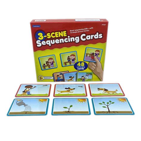 Adult Sequencing Cards