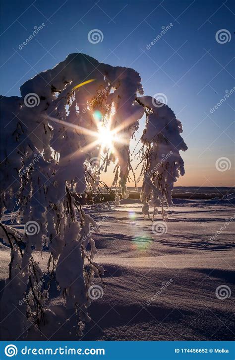 Bello Invierno En Lapland Finland Foto De Archivo Imagen De Paisaje