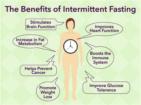 Physiology And Benefits Of Intermittent Fasting