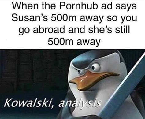 kowalski memes are on the rise invest invest invest r memeeconomy