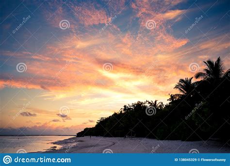 Sunset On Tropical Beach Silhouette Of Palm Trees And
