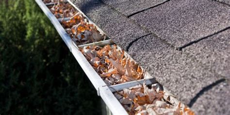 10 Essential Skills Every New Homeowner Should Have Cleaning Gutters