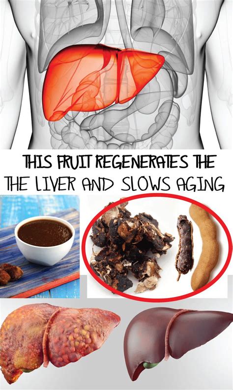You Should Know That Your Liver Is Usually Able To Regenerate Itself