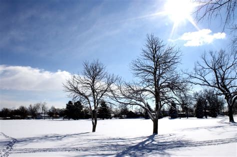 Free Picture Sunny Day Sunshine Winter Snow