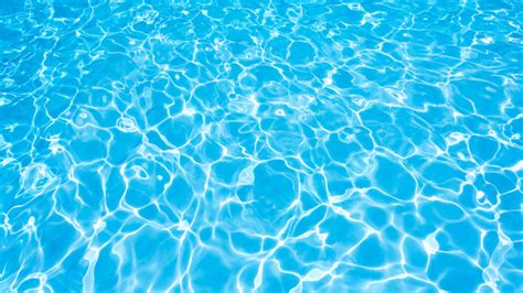 Scientists Can Measure Exactly How Much Pee Is In The Pool Mental Floss