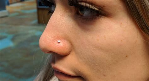 nose piercing info and frequently asked questions