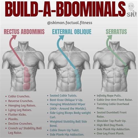 Moves To Get The Abdominal V Shape You Ve Always Wanted Weight Training Workouts Abs