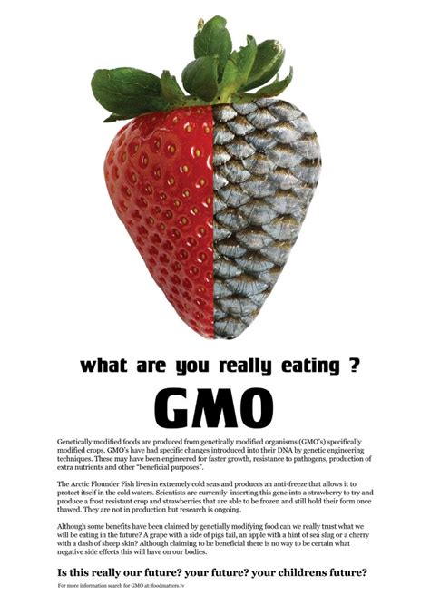 Genetically Modified Food Genetically Modified Food Food Nutrient