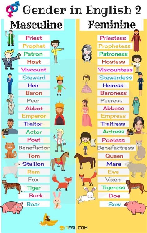 Gender Of Nouns Useful Masculine And Feminine List Esl Gender In English Learn English