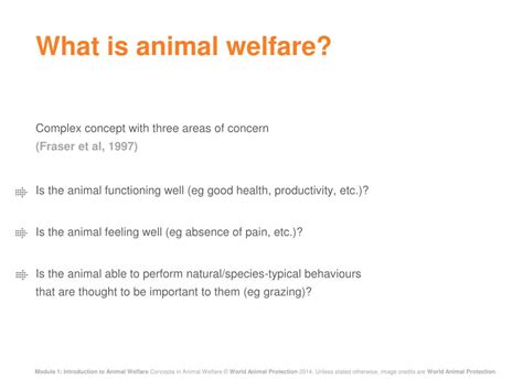 What Is The Definition Of Animal Welfare Definitionvd