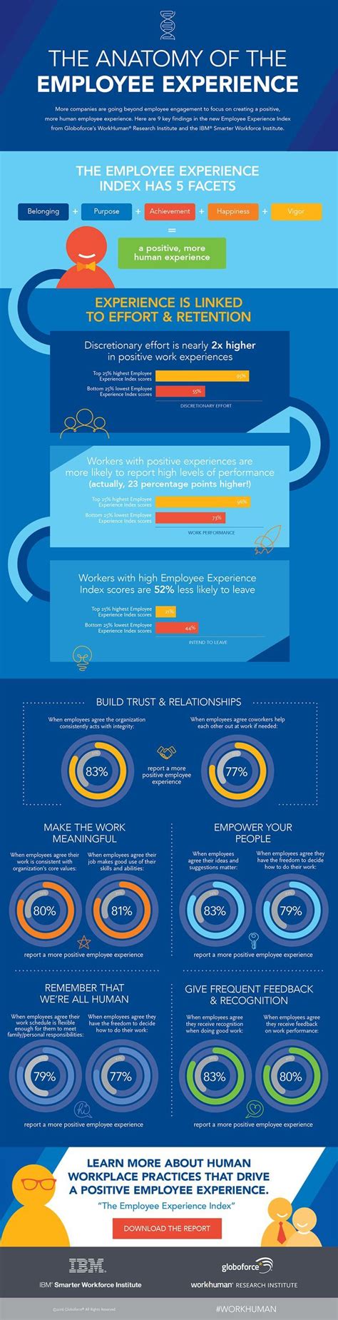 Management Infographic The Anatomy Of Employee Experience