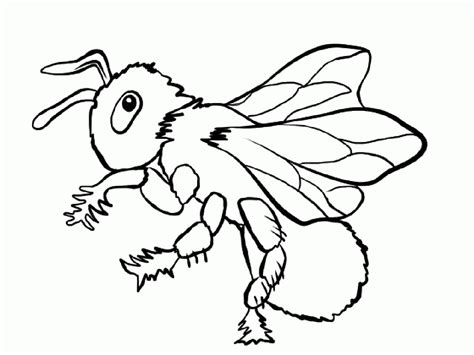 Insects Coloring Pages For Kids Craftfactorykids