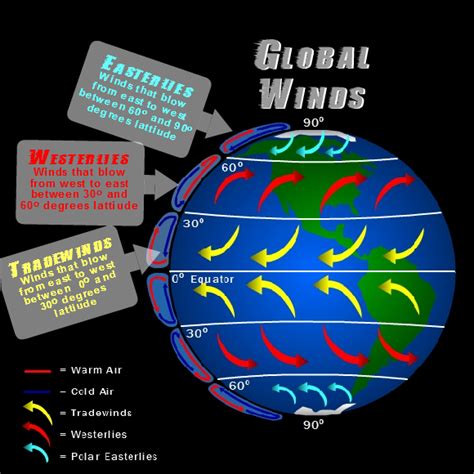 Global Winds Diagram Quizlet
