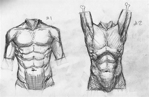 Do anime characters even have lips? Torso Study by SteveGibson on DeviantArt