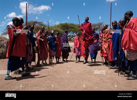 Les Habitants De Maasai Dansent Banque De Photographies Et Dimages à Haute Résolution Alamy