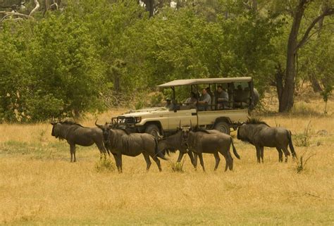 Hwange National Park Luxury Safaris Southern Destinations
