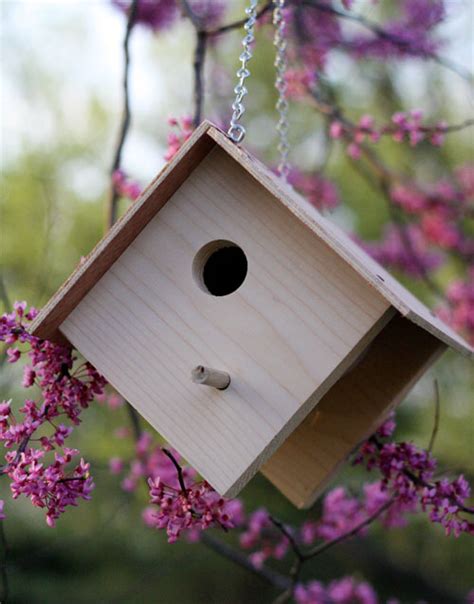 Bird House Plans 20 Free Simple Birdhouse Plans