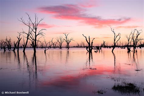 Australian Landscape Photography Lake Victoria Dawn New South Wales