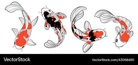 Koi Fish Color Drawing Royalty Free Vector Image
