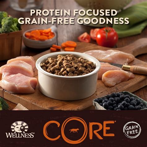 Grain free dog food, is it healthy for dogs? Wellness CORE Natural Grain Free Dry Dog Food, Puppy ...