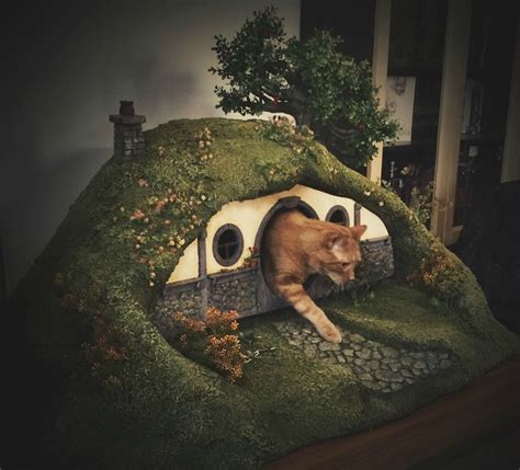 Frodo The Cat With His Own Hobbit Home