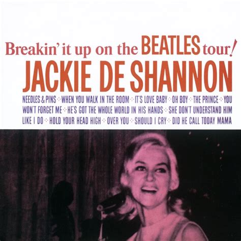 You Don T Have To Say You Love Me Jackie Deshannon Shazam