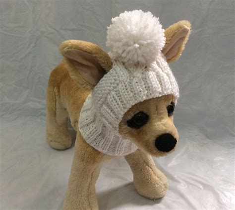 Ce Chapeau De Chien Est Parfait Pour Votre Chihuahua Caniche