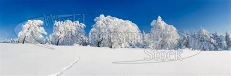 35 Best Panoramic Winter Scenes Images On Pinterest
